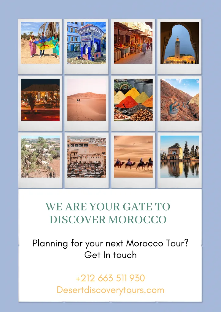 Desert Discovery Tours agency