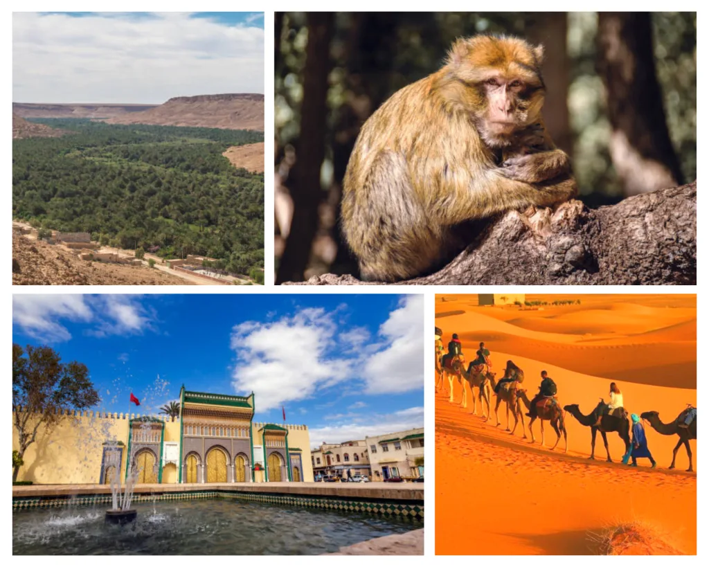 5 Days Morocco Tour From Casablanca