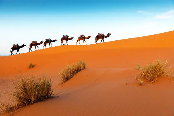 6 Days Morocco Itinerary from Casablanca