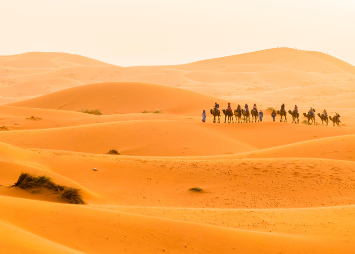 6 days Desert Tour From marrakech