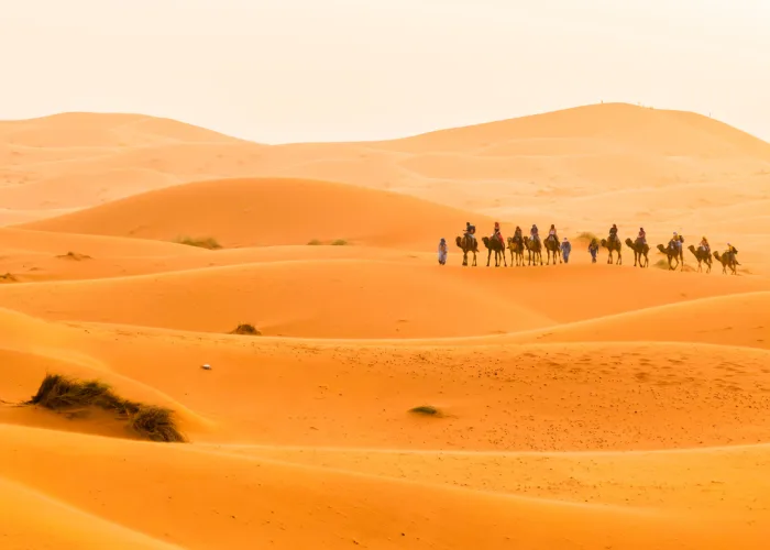 6 days Desert Tour From marrakech