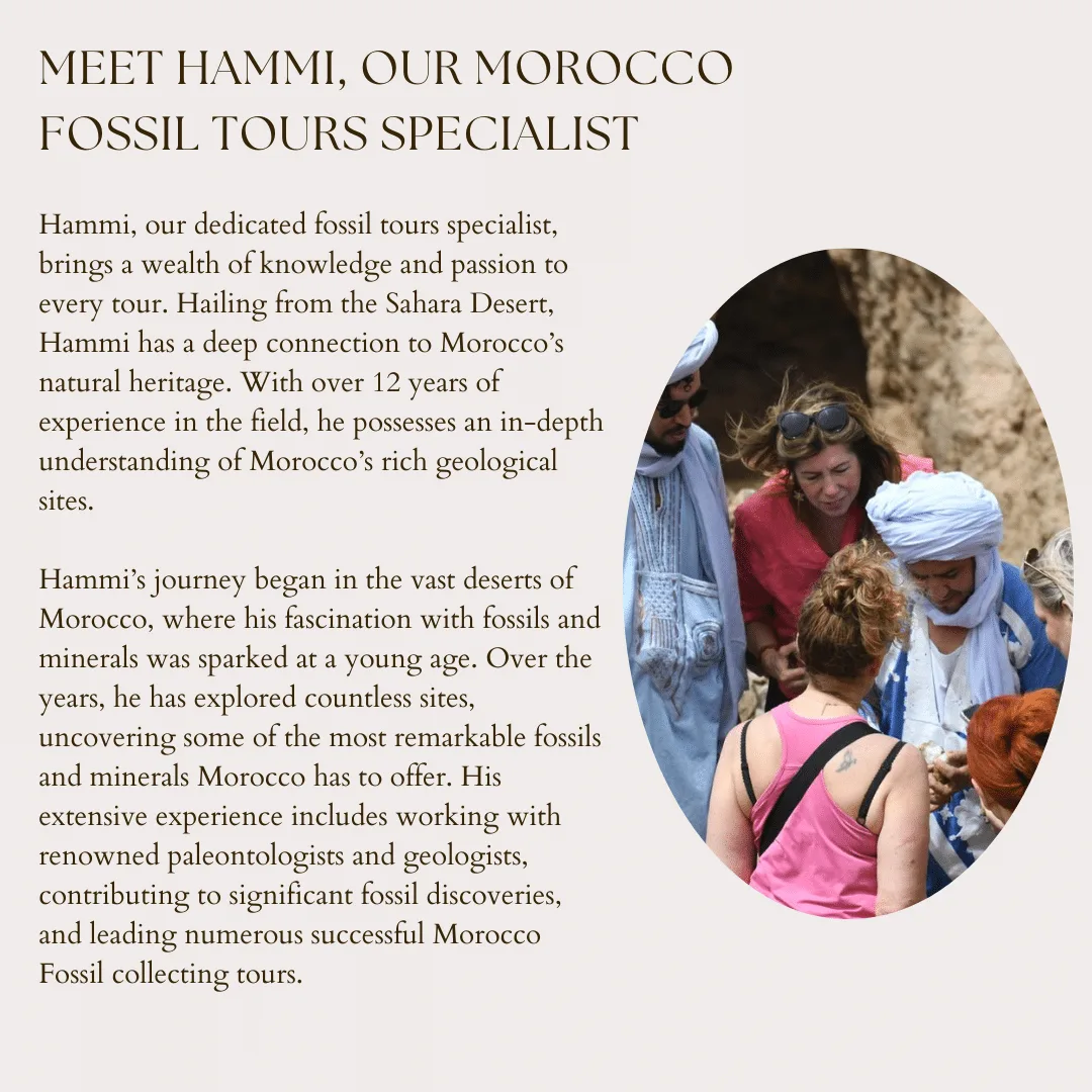 Morocco Fossil collecting tours