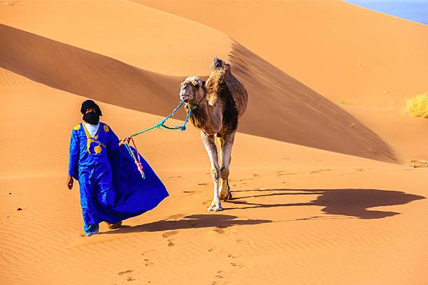 Camel ride in Merzouga desert