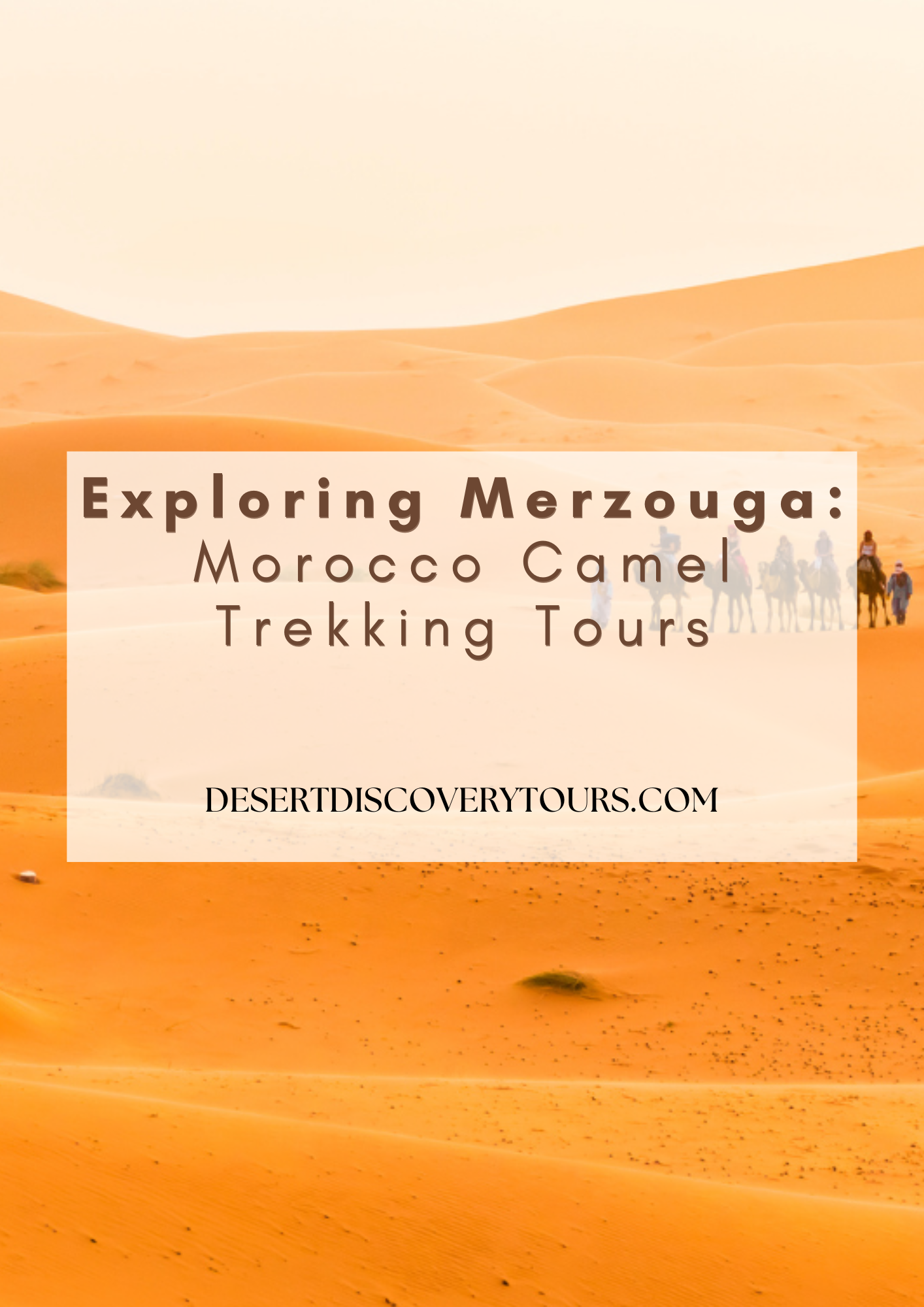 Camel trekking in Merzouga desert