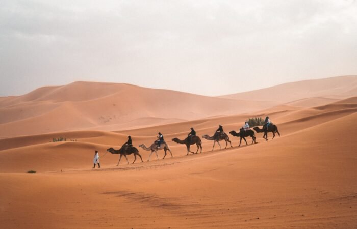 Morocco camel ride