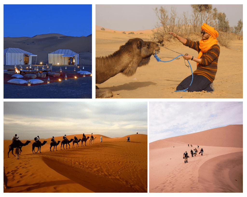 Luxury Desert Tour Fes To Marrakech 3 Days
